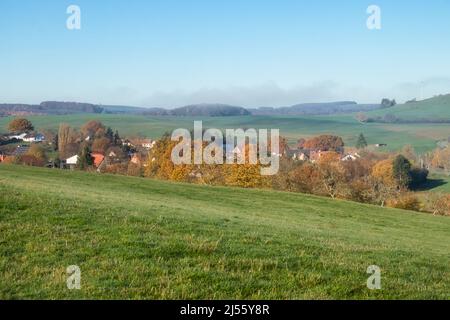 Bäume und Häuser in einem kleinen Dorf umgeben von grünem Gras an einem hellen sonnigen Herbsttag in Deutschland. Stockfoto