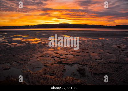 Arnside, Milnthorpe, Cumbria, Großbritannien. 20. April 2022. Sonnenuntergang in der Nähe von Arnside, Cumbria, Teil der Morecambe Bay, der größten Fläche von Gezeitenschlammflächen und Sand im Vereinigten Königreich Quelle: John Eveson/Alamy Live News Stockfoto