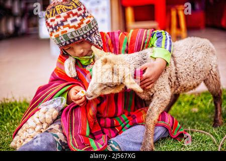 Boy spielt mit seinen Schafen, nachdem er ihm Kekse gefüttert hat, sie sind auf einem Kunsthandwerksmarkt in Chincheros Cusco. Januar 2018 Stockfoto