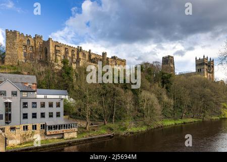 Durham Castle and Cathedral from the River Wear, County Durham, England, Großbritannien Stockfoto