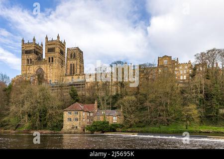 Die herrliche Kathedrale von Durham und die Old Fulling Mill, die über den Fluss Wear in der Stadt Durham gesehen werden. Stockfoto