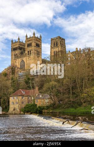 Die herrliche Kathedrale von Durham und die Old Fulling Mill, die über den Fluss Wear in der Stadt Durham gesehen werden. Stockfoto