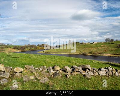 John O' Gaunt Stausee in Nidderdale in Yorkshire. Ein wunderschöner Frühlingsnachmittag und die Aussicht ist reizend mit Trockenmauern und wilden Vögeln. Stockfoto