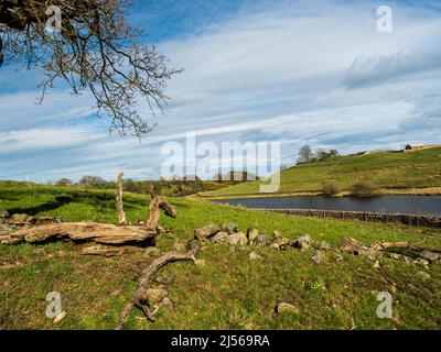 John O' Gaunt Stausee in Nidderdale in Yorkshire. Ein wunderschöner Frühlingsnachmittag und die Aussicht ist reizend mit Trockenmauern und wilden Vögeln. Stockfoto