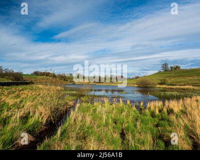 John O' Gaunt Stausee in Nidderdale in Yorkshire. Ein wunderschöner Frühlingsnachmittag und die Aussicht ist reizend mit Trockenmauern und wilden Vögeln. Stockfoto