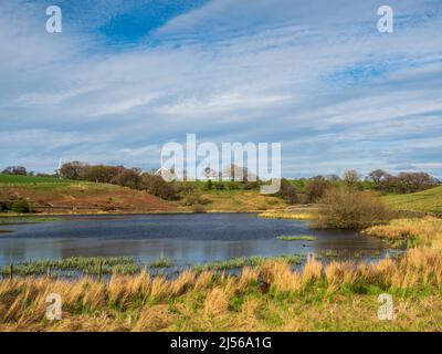 John O' Gaunt Stausee in Nidderdale in Yorkshire. Ein wunderschöner Frühlingsnachmittag und die Aussicht ist reizend mit Trockenmauern und wilden Vögeln. Stockfoto