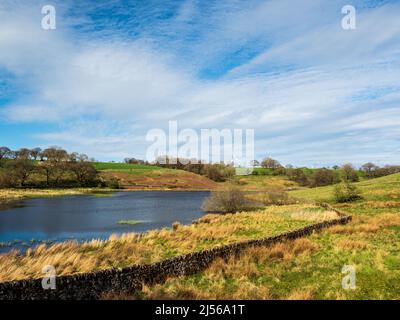 John O' Gaunt Stausee in Nidderdale in Yorkshire. Ein wunderschöner Frühlingsnachmittag und die Aussicht ist reizend mit Trockenmauern und wilden Vögeln. Stockfoto