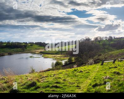 John O' Gaunt Stausee in Nidderdale in Yorkshire. Ein wunderschöner Frühlingsnachmittag und die Aussicht ist reizend mit Trockenmauern und wilden Vögeln. Stockfoto