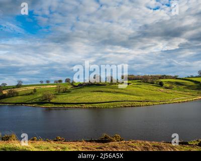 John O' Gaunt Stausee in Nidderdale in Yorkshire. Ein wunderschöner Frühlingsnachmittag und die Aussicht ist reizend mit Trockenmauern und wilden Vögeln. Stockfoto