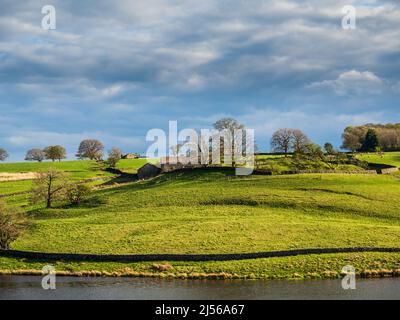 John O' Gaunt Stausee in Nidderdale in Yorkshire. Ein wunderschöner Frühlingsnachmittag und die Aussicht ist reizend mit Trockenmauern und wilden Vögeln. Stockfoto