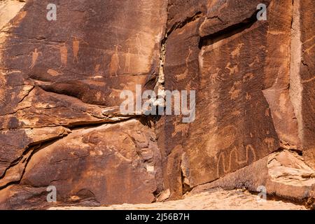 Felszeichnungen, die in Sandsteinwände des Shay Canyon, Indian Creek Unit des Bears Ears National Monument in Utah, eingeschnitten wurden. Dieser Uralte Ureinwohner Amerikas Stockfoto