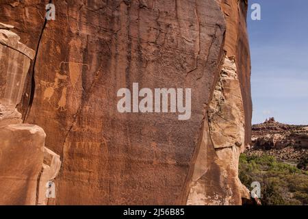 Felszeichnungen, die in Sandsteinwände des Shay Canyon, Indian Creek Unit des Bears Ears National Monument in Utah, eingeschnitten wurden. Dieser Uralte Ureinwohner Amerikas Stockfoto