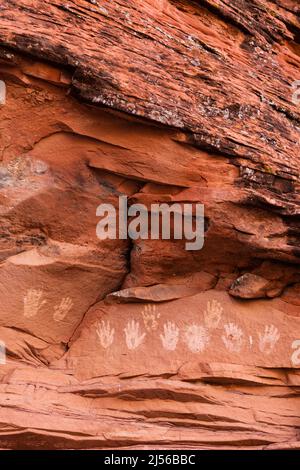 Handprint-Piktogramme in der Nähe der Ruine des River House am San Juan River, Shash Jaa Unit - Bears Ears National Monument, Utah. Diese alten amerikanischen Ureinwohner Stockfoto