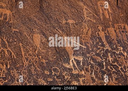 Kokopelli, der Flötenspieler, auf dem Sand Island Rock Art Panel am San Juan River in Utah. Es ist eine große Sammlung von Petroglyphen, vor allem in der Stockfoto