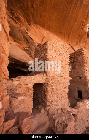 River House Ruin in der Nähe des San Juan River, Shash Jaa Unit, Bears Ears National Monument, Utah. Diese Pueblaer Ruine ist etwa 1000 Jahre alt. Stockfoto