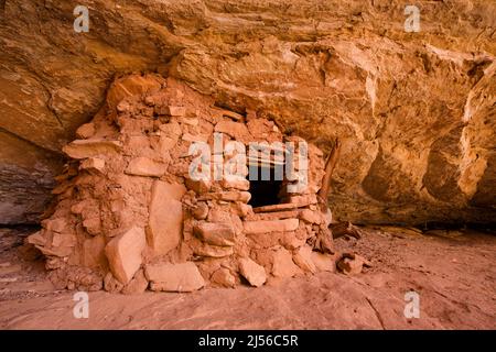 Eine kleine Klippe, die in den Ruinen des Owl Creek Canyon im Bears Ears National Monument im Südosten von Utah wohnt. Der Owl Creek Canyon ruiniert den Fisch Stockfoto