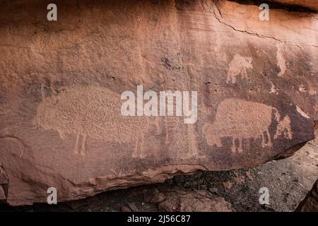 Eine Petroglyphe-Tafel mit einer sehr hohen, schlanken anthropomorphen Figur, flankiert von zwei Büffeln im Nine Mile Canyon, Utah. Nine Mile Canyon c Stockfoto
