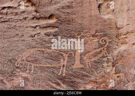 Eine Petroglyphe-Tafel mit einer anthropomorphen Figur mit einem Büffel und einem Dickhornschaf im Nine Mile Canyon in Utah. Im Nine Mile Canyon gibt es Tausende Stockfoto