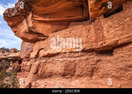 Die Verteidigungsmauer der Moon House Ruine auf Cedar Mesa trägt das Ears National Monument, Utah. Der Ruinenkomplex des Mondhauses ist eine Gruppe alter Ancest Stockfoto