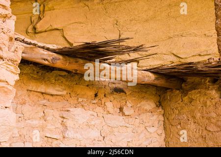 Die Monarch Cave Ruine, eine 1000 Jahre alte Ahnenruine Puebloan Indianische Ureinwohner in einer Schutznische in einer Schlucht in der Shash Jaa Unit der Stockfoto