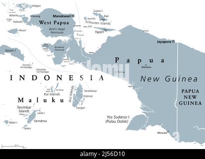 Westneuguinea, graue politische Landkarte. Auch Papua ist ein westlicher Teil der melanesischen Insel Neuguinea, der von Indonesien verwaltet wird. Stockfoto