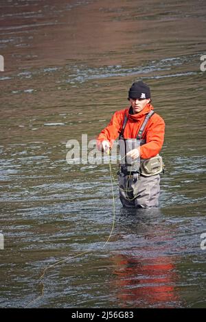 Ein Fliegenfischer wirft auf dem Metolius River in den Cascade Mountains im Zentrum von Oregon künstliche Forellenfliegen für Rotbandforellen. Stockfoto