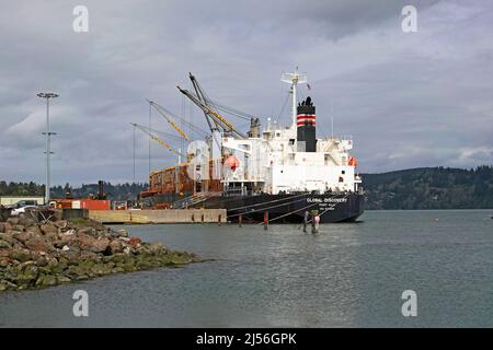 Die Global Discovery, ein in Vanuatu registriertes „Bulk Carrier“-Schiff, an den Docks in Coos Bay, Oregon, lädt Tausende von Tonnen Halm- und Tannenholz aus dem Pazifischen Nordwesten nach Hiroshima, Japan. Stockfoto