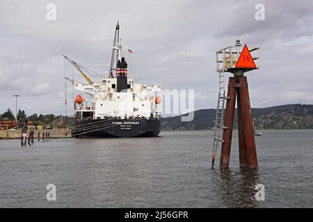 Die Global Discovery, ein in Vanuatu registriertes „Bulk Carrier“-Schiff, an den Docks in Coos Bay, Oregon, lädt Tausende von Tonnen Halm- und Tannenholz aus dem Pazifischen Nordwesten nach Hiroshima, Japan. Stockfoto