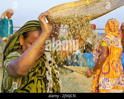 Dhaka, Dhaka, Bangladesch. 18. April 2022. Das Wort Nobanno ist eine Kombination aus Nobo (neu) und onno (Reis), was sich in neuen Reis übersetzt. Utshob, was Festival bedeutet, macht den Satz Nobanno Utshob Festival oder Feier des neuen Reises. Die Mehrheit der Bangladescher lebt immer noch in ländlichen Gebieten und ist stark von der Landwirtschaft abhängig. (Bild: © Tahsin Ahmed/Pacific Press via ZUMA Press Wire) Stockfoto