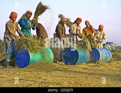 Dhaka, Dhaka, Bangladesch. 18. April 2022. Das Wort Nobanno ist eine Kombination aus Nobo (neu) und onno (Reis), was sich in neuen Reis übersetzt. Utshob, was Festival bedeutet, macht den Satz Nobanno Utshob Festival oder Feier des neuen Reises. Die Mehrheit der Bangladescher lebt immer noch in ländlichen Gebieten und ist stark von der Landwirtschaft abhängig. (Bild: © Tahsin Ahmed/Pacific Press via ZUMA Press Wire) Stockfoto