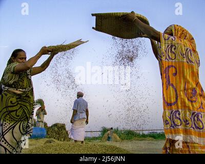 Dhaka, Dhaka, Bangladesch. 18. April 2022. Das Wort Nobanno ist eine Kombination aus Nobo (neu) und onno (Reis), was sich in neuen Reis übersetzt. Utshob, was Festival bedeutet, macht den Satz Nobanno Utshob Festival oder Feier des neuen Reises. Die Mehrheit der Bangladescher lebt immer noch in ländlichen Gebieten und ist stark von der Landwirtschaft abhängig. (Bild: © Tahsin Ahmed/Pacific Press via ZUMA Press Wire) Stockfoto