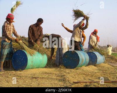 Dhaka, Dhaka, Bangladesch. 18. April 2022. Das Wort Nobanno ist eine Kombination aus Nobo (neu) und onno (Reis), was sich in neuen Reis übersetzt. Utshob, was Festival bedeutet, macht den Satz Nobanno Utshob Festival oder Feier des neuen Reises. Die Mehrheit der Bangladescher lebt immer noch in ländlichen Gebieten und ist stark von der Landwirtschaft abhängig. (Bild: © Tahsin Ahmed/Pacific Press via ZUMA Press Wire) Stockfoto