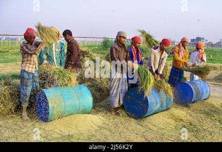 Dhaka, Dhaka, Bangladesch. 18. April 2022. Das Wort Nobanno ist eine Kombination aus Nobo (neu) und onno (Reis), was sich in neuen Reis übersetzt. Utshob, was Festival bedeutet, macht den Satz Nobanno Utshob Festival oder Feier des neuen Reises. Die Mehrheit der Bangladescher lebt immer noch in ländlichen Gebieten und ist stark von der Landwirtschaft abhängig. (Bild: © Tahsin Ahmed/Pacific Press via ZUMA Press Wire) Stockfoto