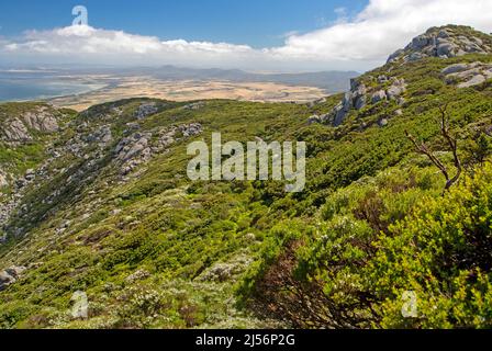 Blick nach Norden von den Hängen der Strzelecki Peaks auf Flinders Island Stockfoto