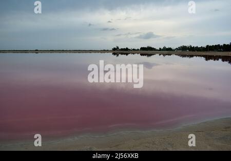 Rosa Lagune mit Sonnenuntergang, Las Coloradas, Yucatan, Mexiko. Stockfoto