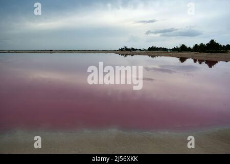 Rosa Lagune mit Sonnenuntergang, Las Coloradas, Yucatan, Mexiko. Stockfoto