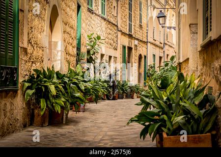 Horizontale Fotografie mit Fokus im Hintergrund einer idyllischen mediterranen Kopfsteinpflasterstraße, gesäumt von Pflanzentöpfen, in der Altstadt von Soller Stockfoto