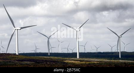 Datei-Foto vom 20/05/19 von Europas größtem Onshore-Windpark Whitelee Windfarm am Stadtrand von Glasgow. Branchen wie Biowissenschaften, erneuerbare Energien und der Weltraumsektor sollen im Mittelpunkt eines neuen Programms stehen, das darauf abzielt, qualifizierte Arbeitskräfte nach Schottland zu holen. Ausgabedatum: Donnerstag, 21. April 2022. Stockfoto