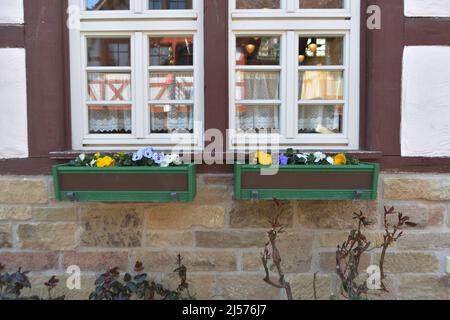 Alte, teilweise verwitterte Modellbau-Fachwerkhausfassade mit zwei Fenstern in Nahaufnahme Stockfoto