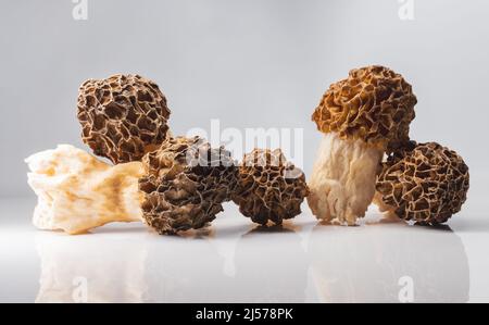 Morels Delikatesse Pilze auf weißem Hintergrund Stockfoto