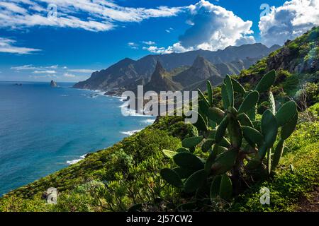 Wanderung von Taganana entlang des Weges durch das Anaga-Gebirge nach Aphur im Norden der Kanarischen Inseln Teneriffa im Februar Stockfoto