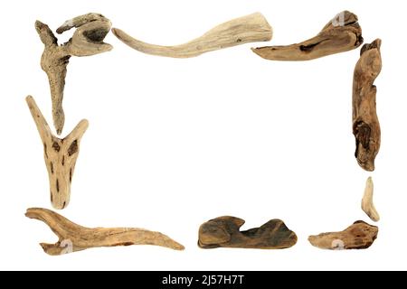 Driftwood abstrakt rustikalen Hintergrund Grenze Holzrahmen kreative Skulptur, minimale natürliche Zusammensetzung, Design-Element auf weißem Hintergrund. Stockfoto