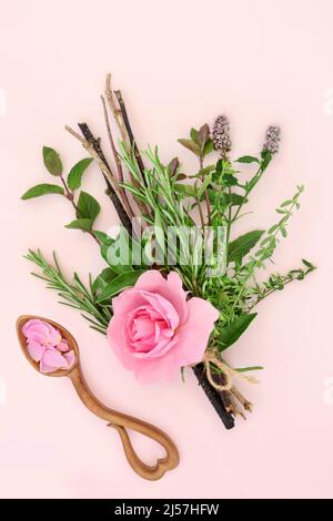 Hexen bündeln sich für den Liebestrank mit Rosenblüte, Kräuterauswahl und losen Blütenblättern in einem Lovespoon auf rosa Hintergrund. Magische Zauber mystische okkulte heidnische Stockfoto