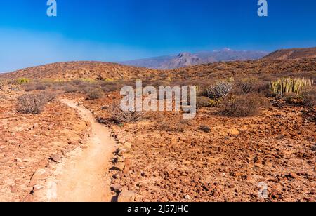 Wanderung von Los Cristianos nach Las Galletas im Süden der Kanarischen Inseln Teneriffa Stockfoto