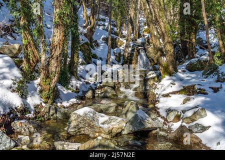 Bach zu den Kaledonia Wasserfällen im Troodos-Gebirge, Zypern, Europa | Caledonia Wasserfälle River Stream, Troodos Mountains, Zypern, Europa Stockfoto