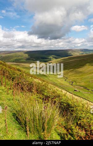 Blick von den Buttertubs nach Norden in Richtung Muker in Swaledale Stockfoto