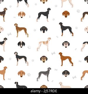 Saluki glatt beschichtetes nahtloses Muster. Verschiedene Posen, Fellfarben eingestellt. Vektorgrafik Stock Vektor