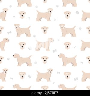 Sealyham Terrier Nahtloses Muster. Verschiedene Posen, Fellfarben eingestellt. Vektorgrafik Stock Vektor