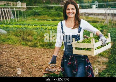 Reife Bäuerin hält Holzkiste mit frischem Bio-Salat - Fokus auf der linken Hand Stockfoto