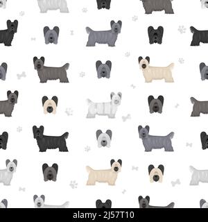 Skye Terrier Fellfarben, verschiedene Posen nahtloses Muster. Vektorgrafik Stock Vektor